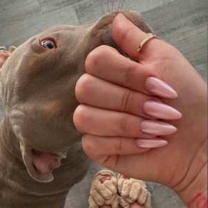 pearl-pink-ngel-in-rostock-der-ultimative-guide-2025